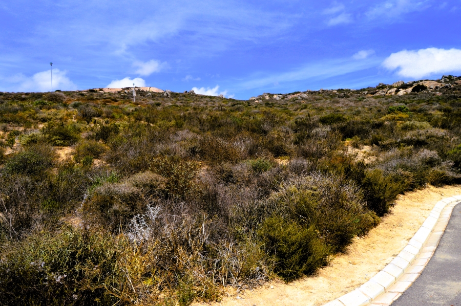 0 Bedroom Property for Sale in Steenbergs Cove Western Cape